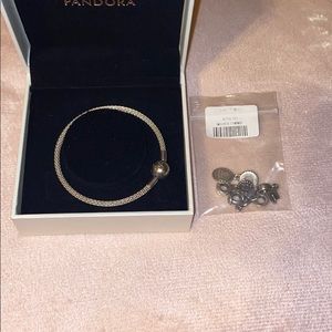 Pandora moments mesh bracelet